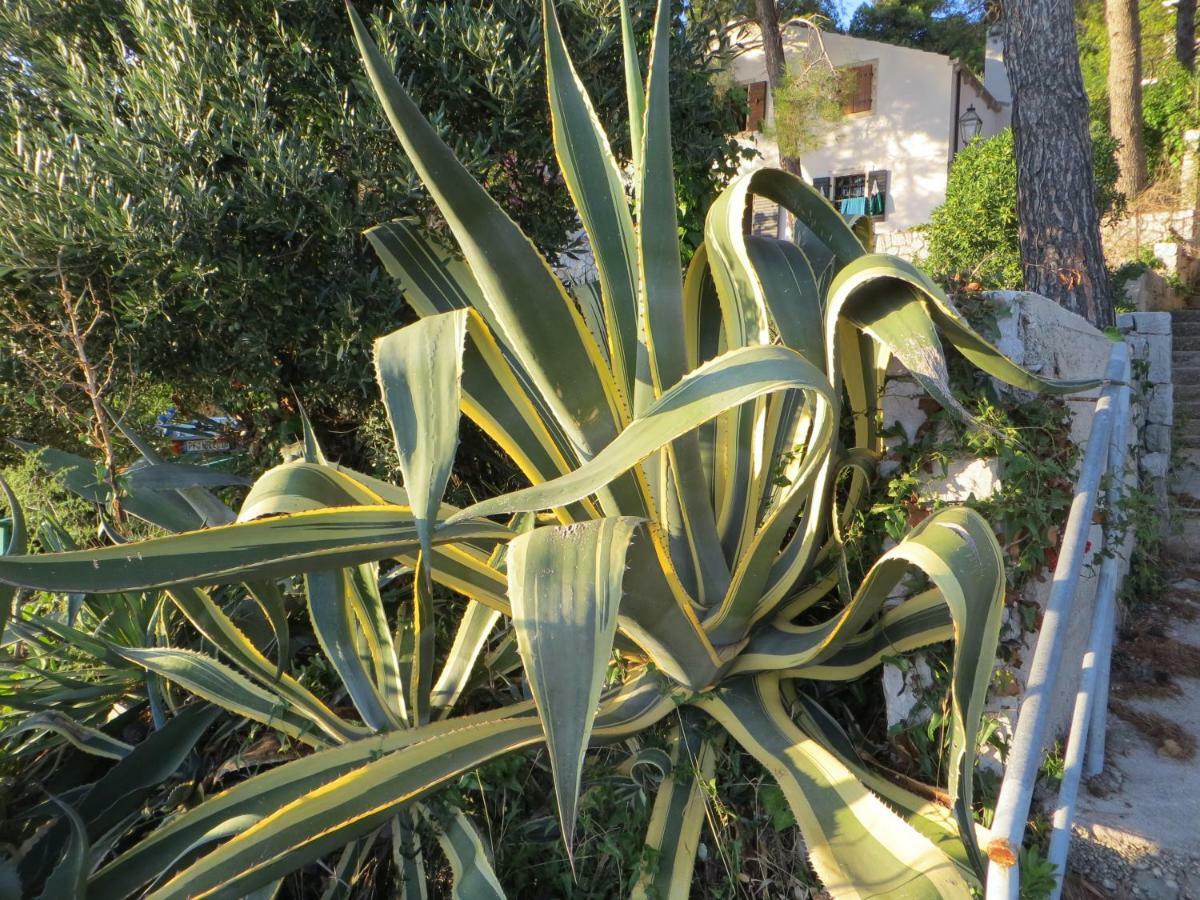 Apartment Sunshine Mali Losinj Exterior photo