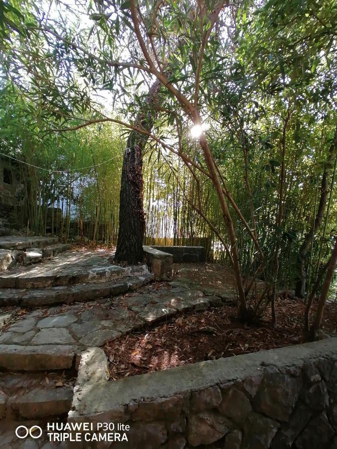 Apartment Sunshine Mali Losinj Exterior photo